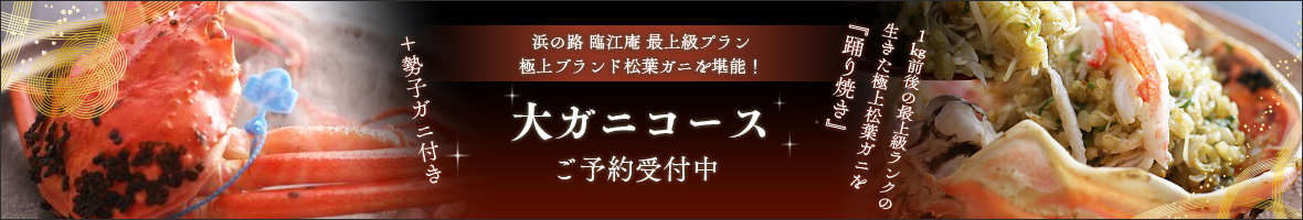 大ガニコース