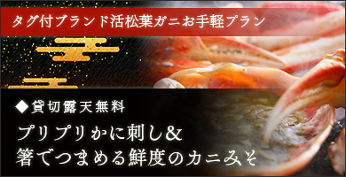 活松葉お手軽プラン