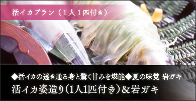 活イカプラン