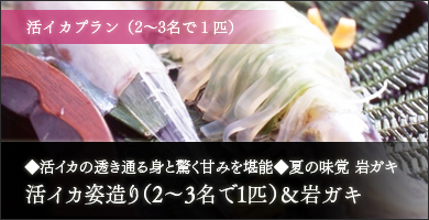 活イカプラン