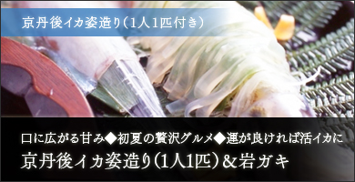 京丹後イカ姿造り 1人1匹