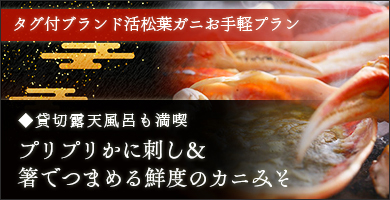 活松葉お手軽プラン